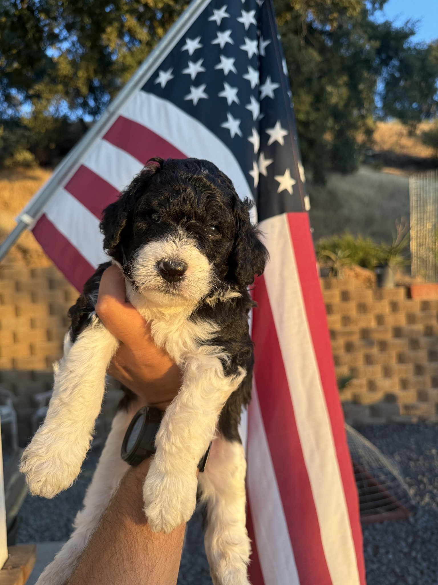 B&W Male (large).JPEG