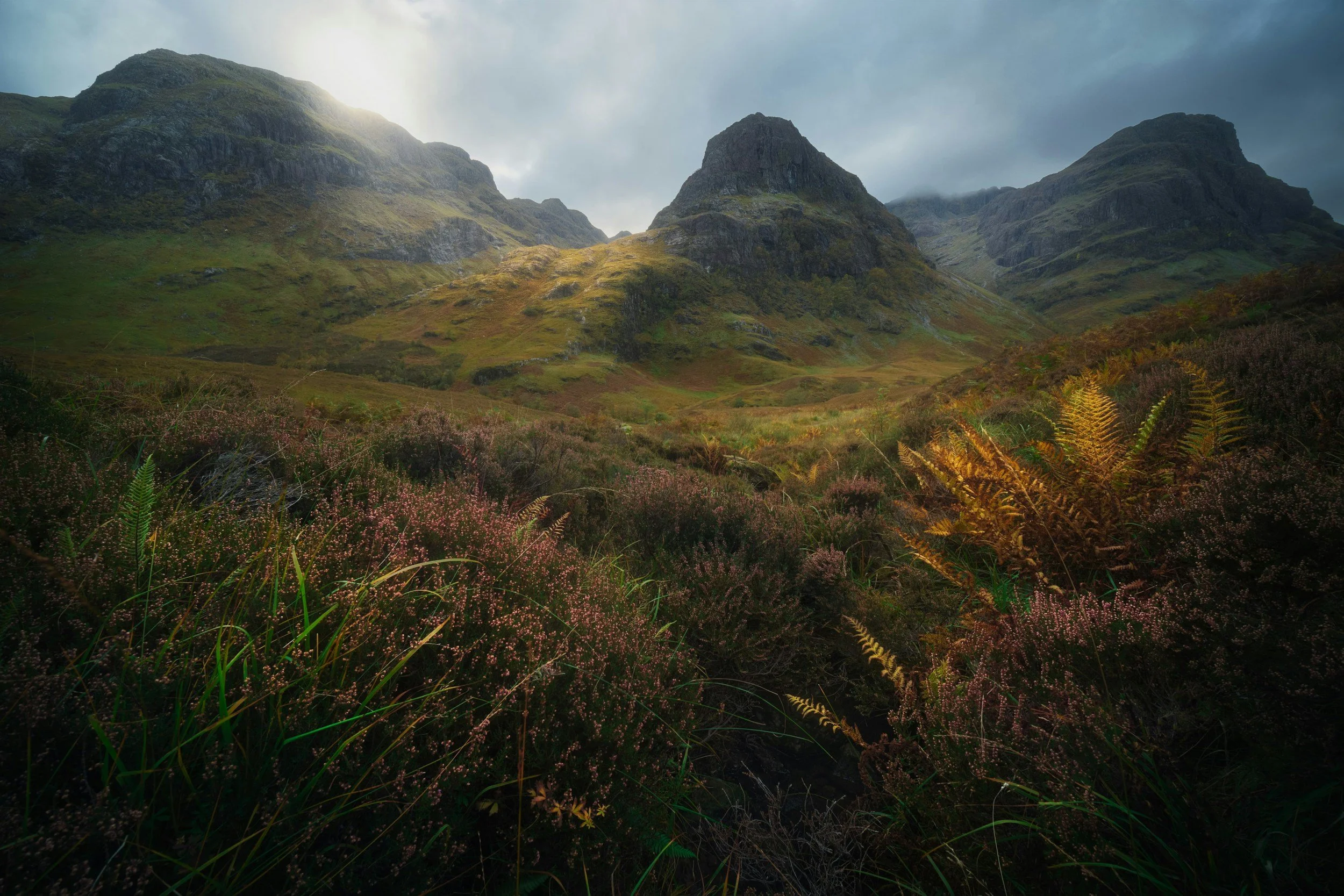unsplash-image-fgvMJUMDY4w.jpg