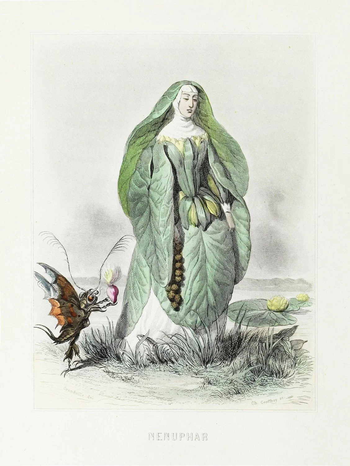 Grasshopper ~ Merlin June Mack