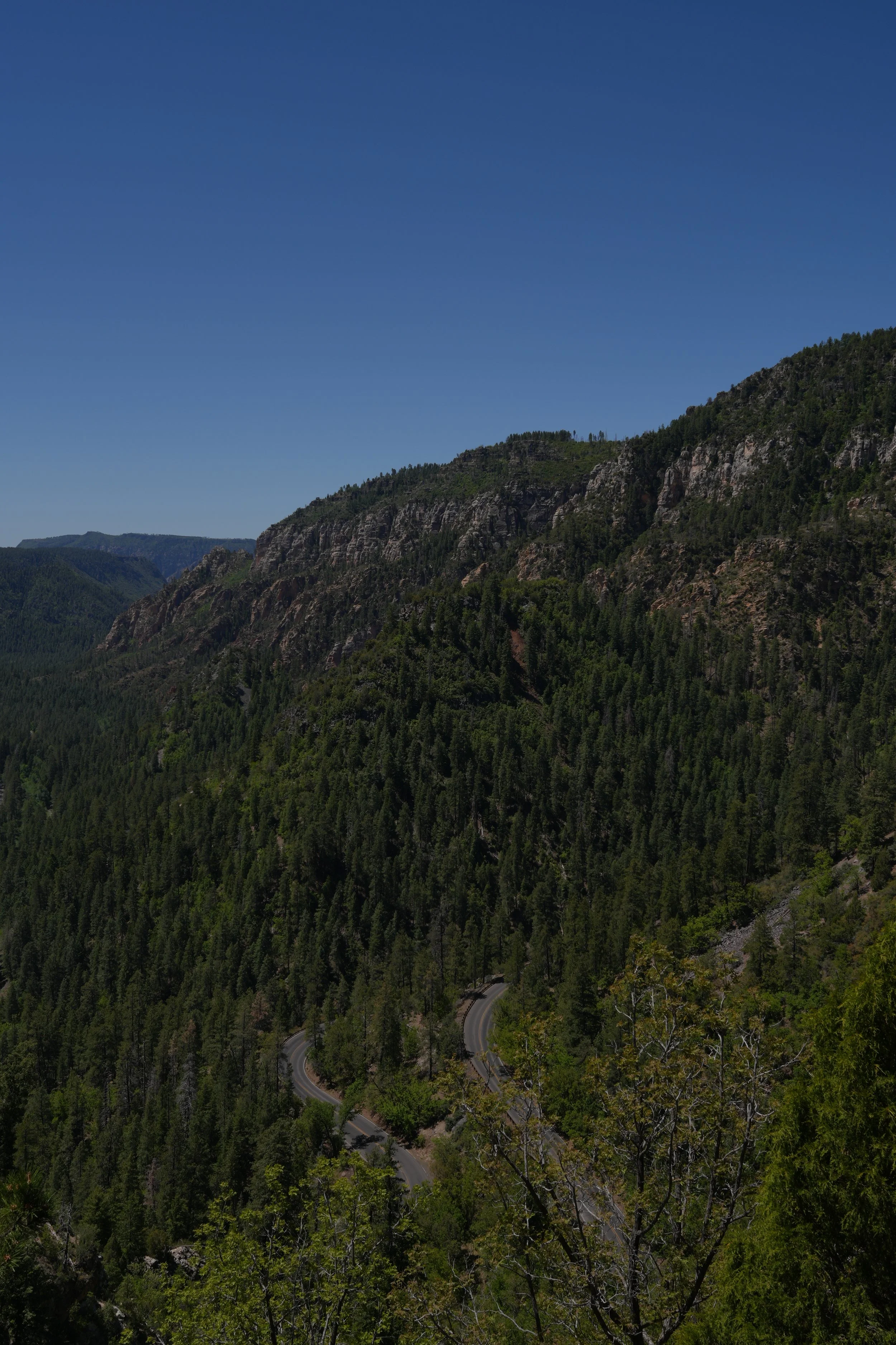 DSC01691.JPG