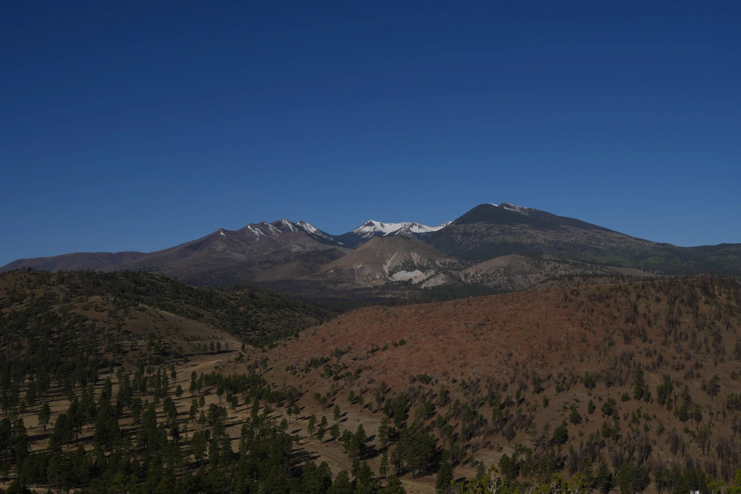 DSC01744.JPG