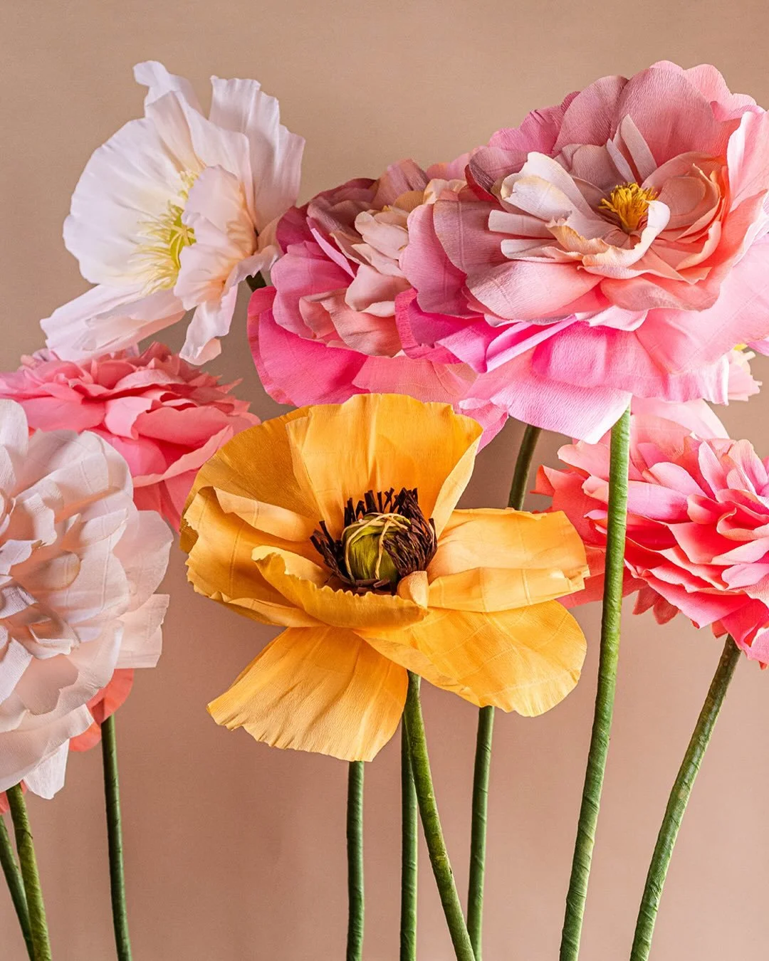 🌸 Crea Flores de Papel Gigante 🌸 

📅 20 de Septiembre, 04 , 11 y 18 de Octubre 
4 modelos distintos.

Elige tu fecha favorita o vive la experiencia completa los 4 d&iacute;as. Ideal para montajes, decoraci&oacute;n y dar vida a grandes ideas.
Cost