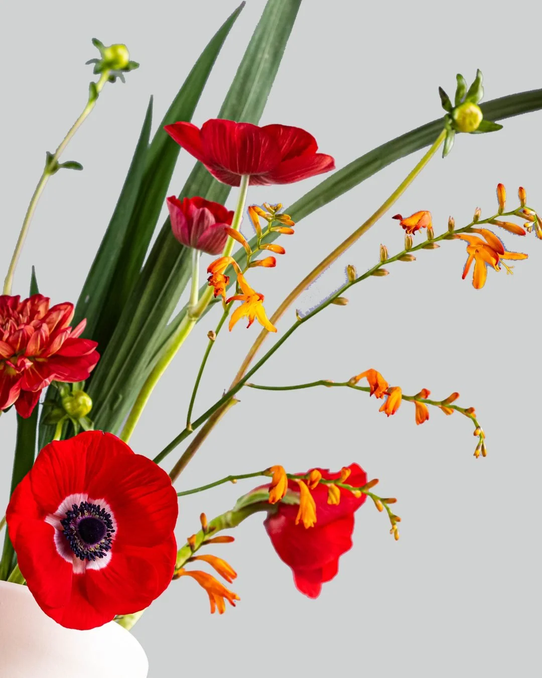 Te imaginas crear algo as&iacute; con tus propias manos? 🌼💐

En Floral Workshops te damos todas las herramientas, materiales y la gu&iacute;a de nuestros maestros certificados para que transformes tu creatividad en arreglos espectaculares. 

Inscr&