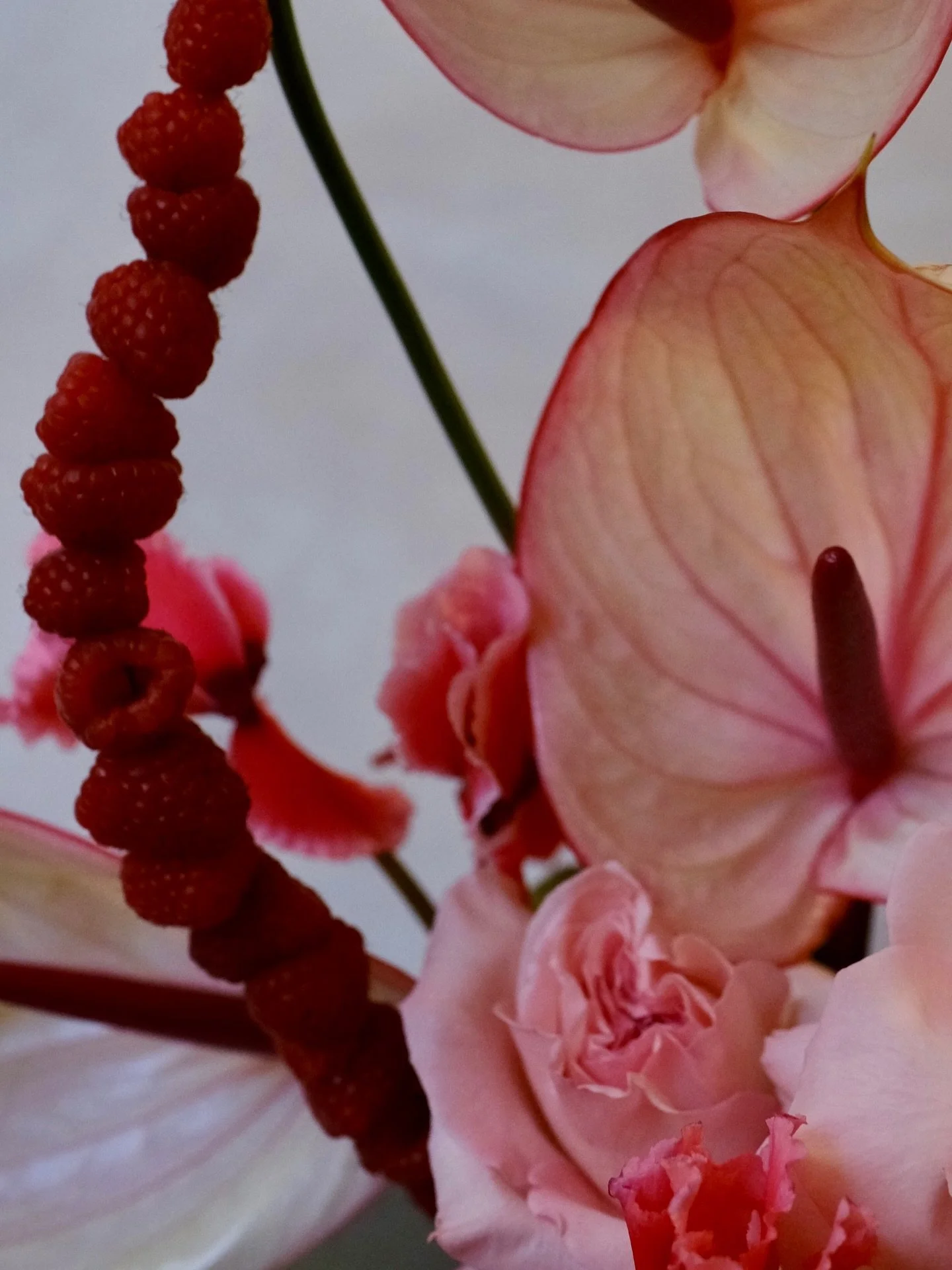 NEW YEAR, NEW BEGINNINGS 🍓🍓