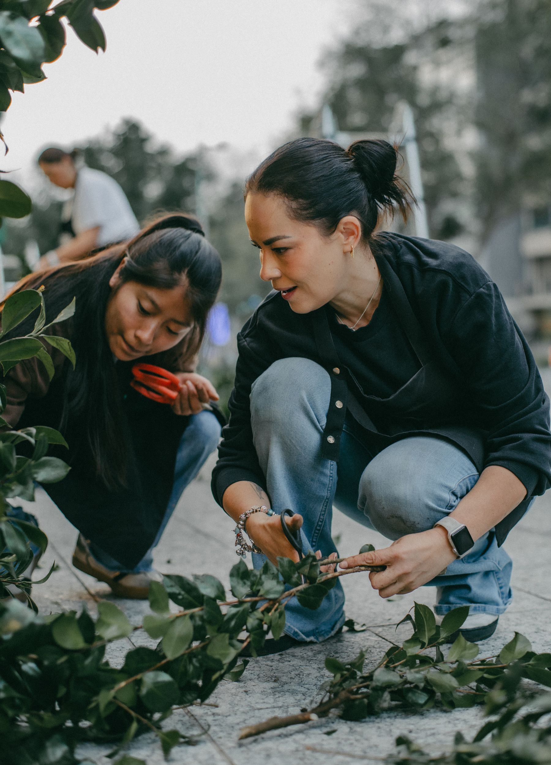 Diseño sin título - 10.png