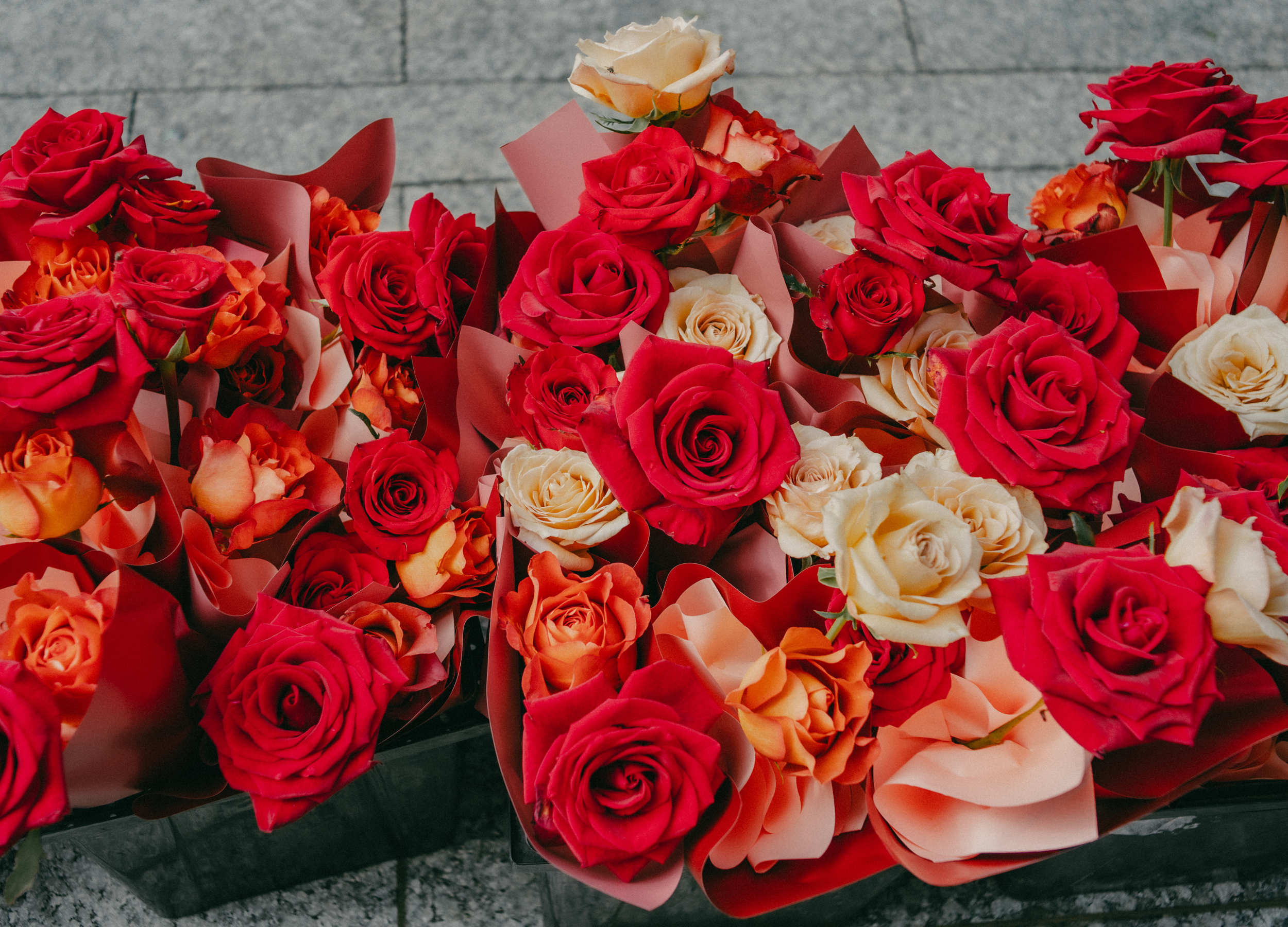 Diseño sin título - 3.png