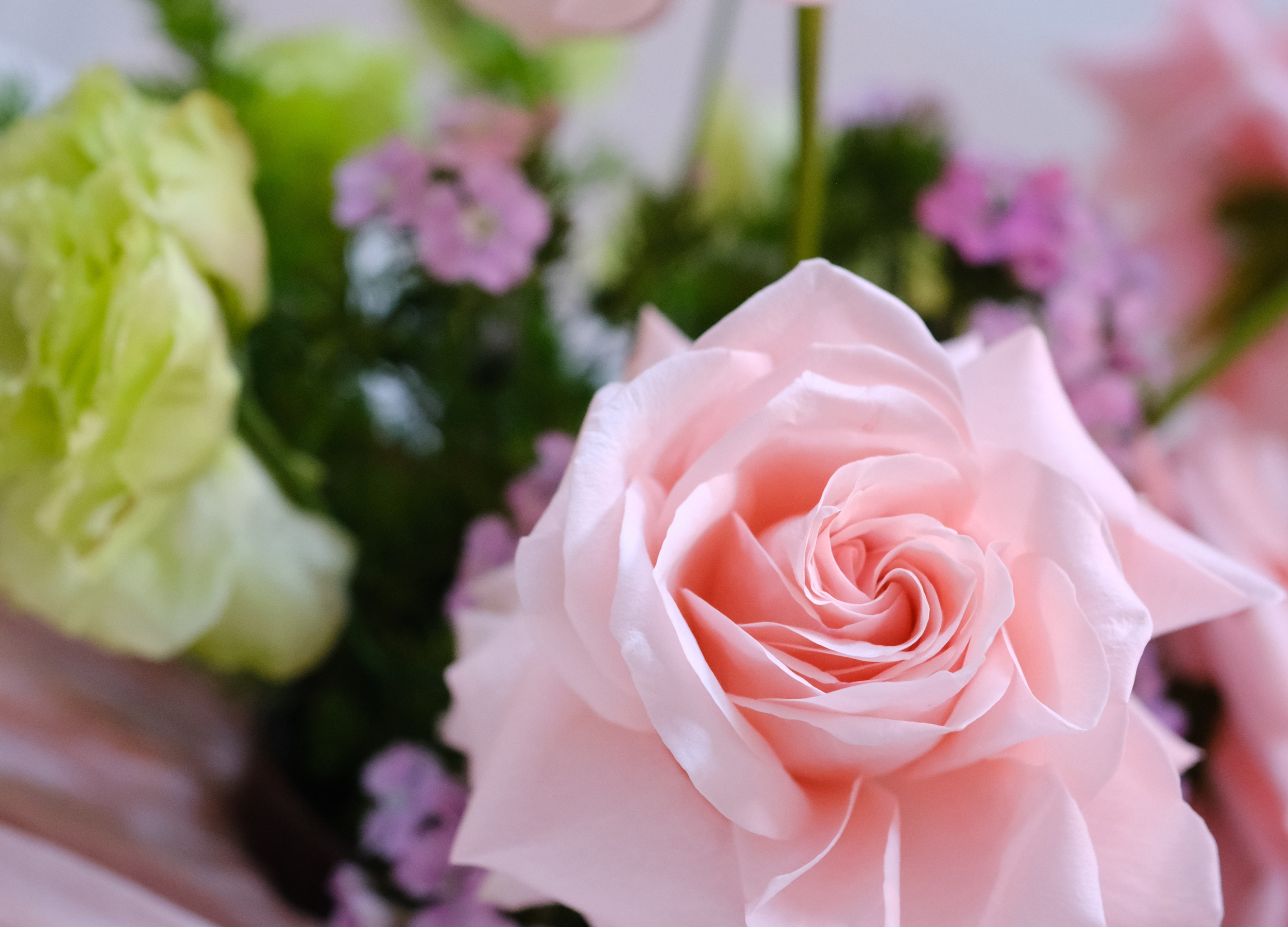 Diseño sin título - 10.png