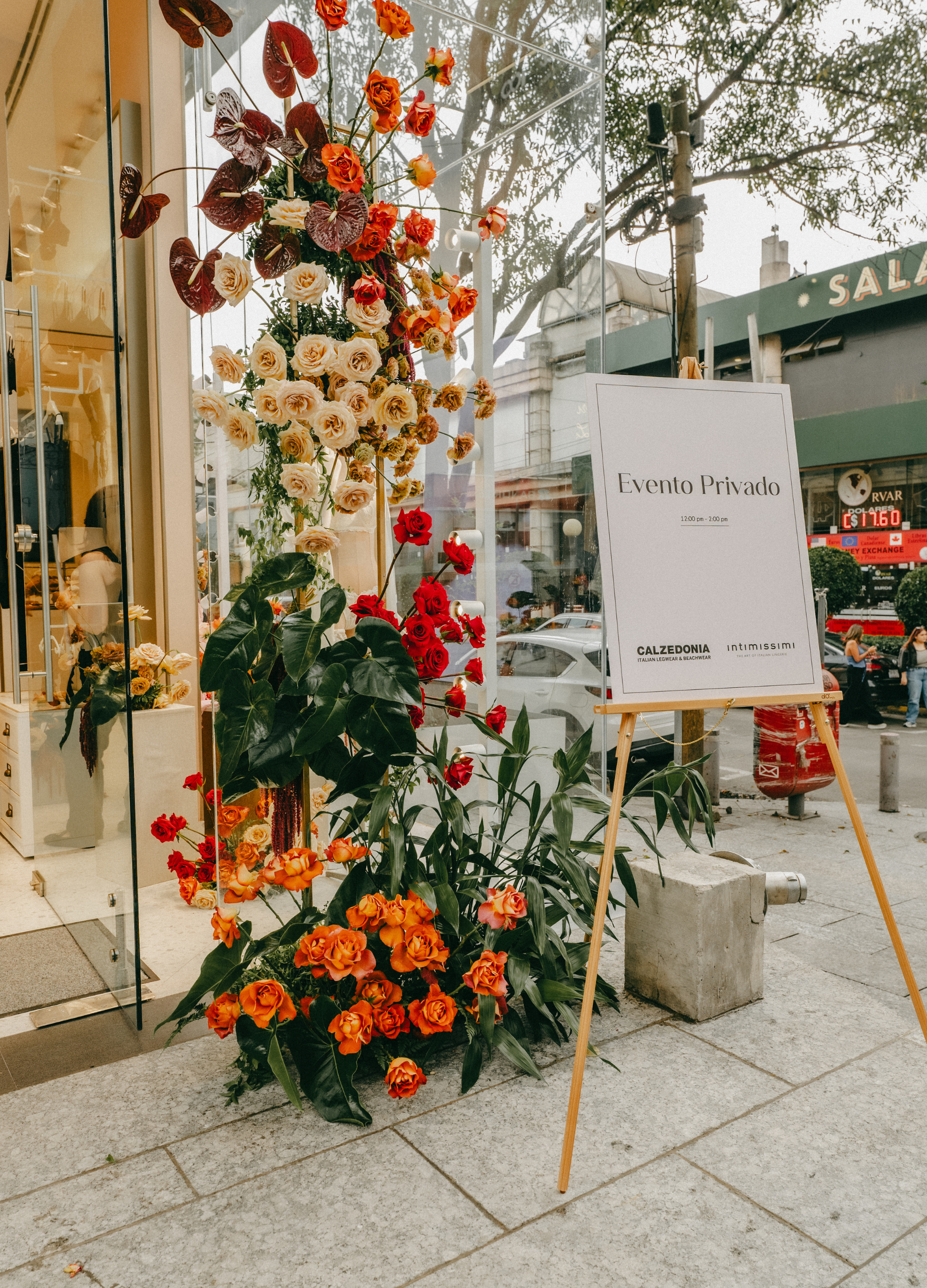 Diseño sin título - 7.png