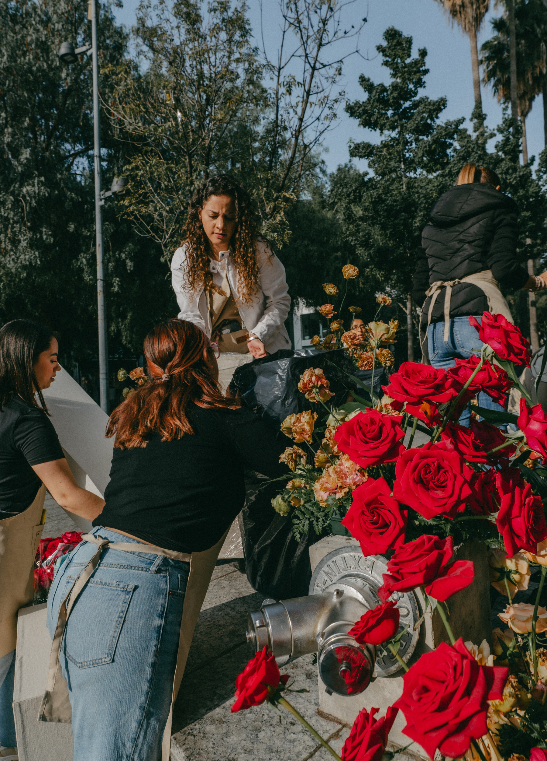 Diseño sin título - 6.png