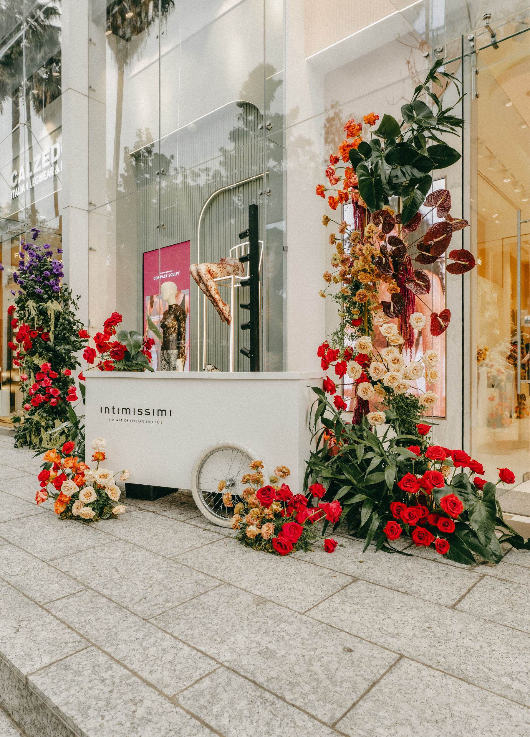 Diseño sin título - 8.png