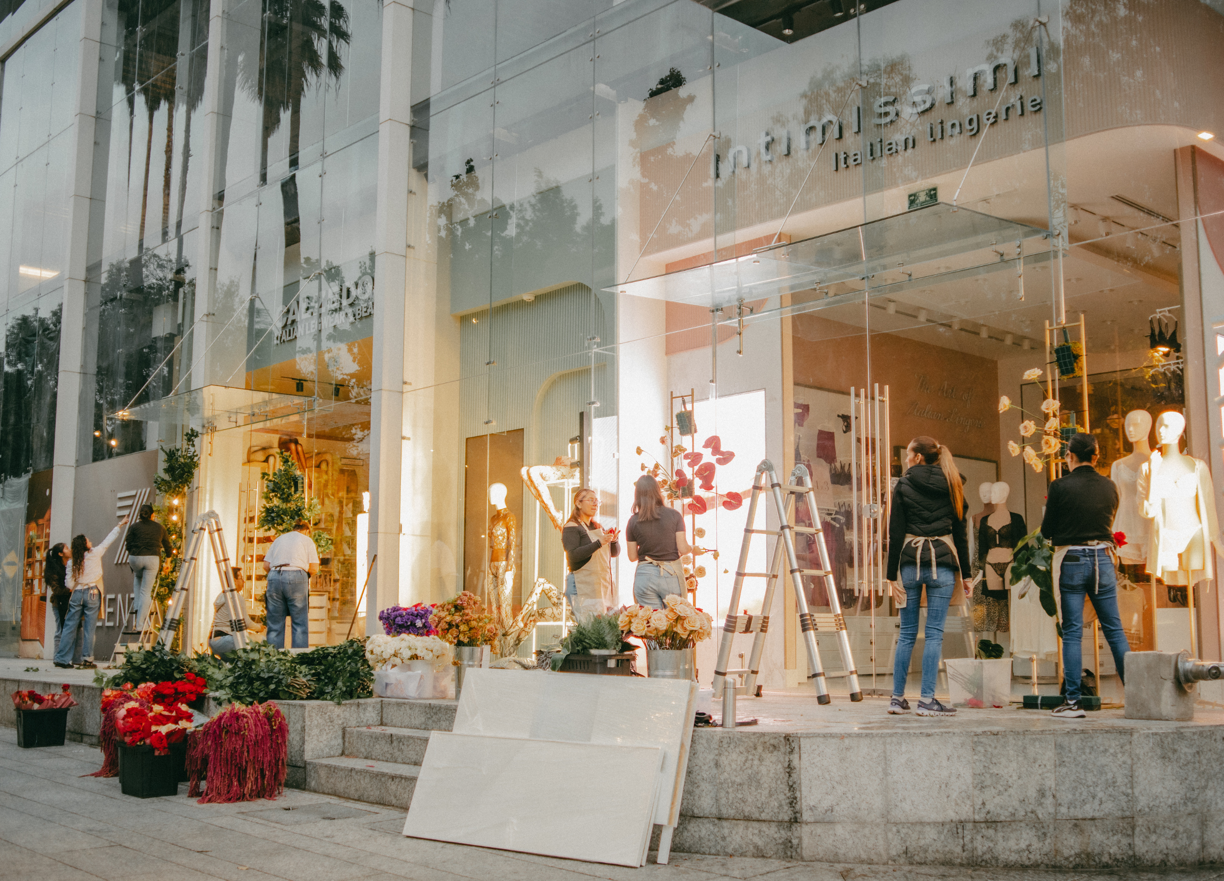 Diseño sin título - 2.png