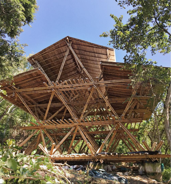 Wild Child Village, Ecuador