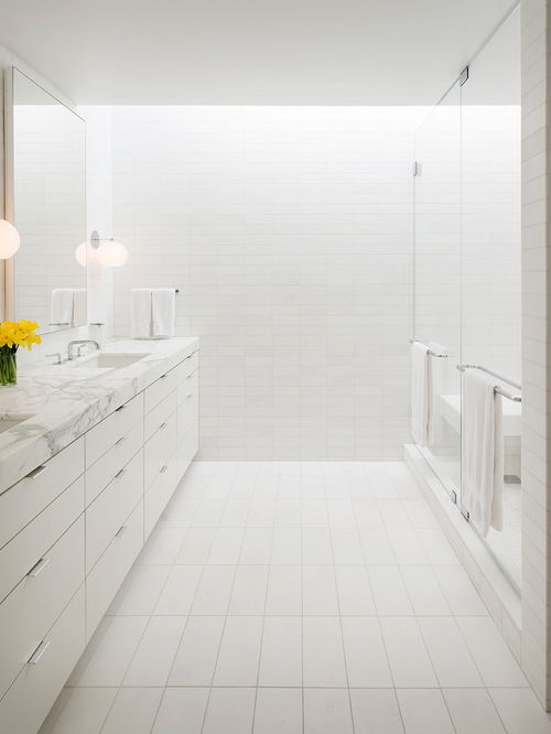 781122390458107b_2027-w500-h666-b0-p0--contemporary-bathroom.jpg