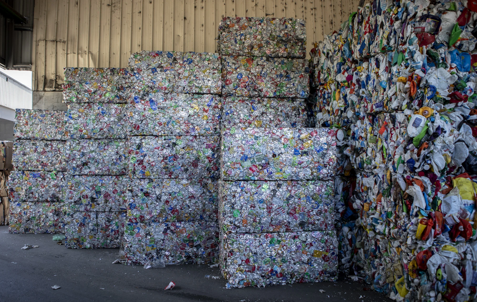 Recycling 101: What Everyone Should Know About Recycling