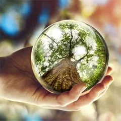 Regression Therapy Houston, Conroe