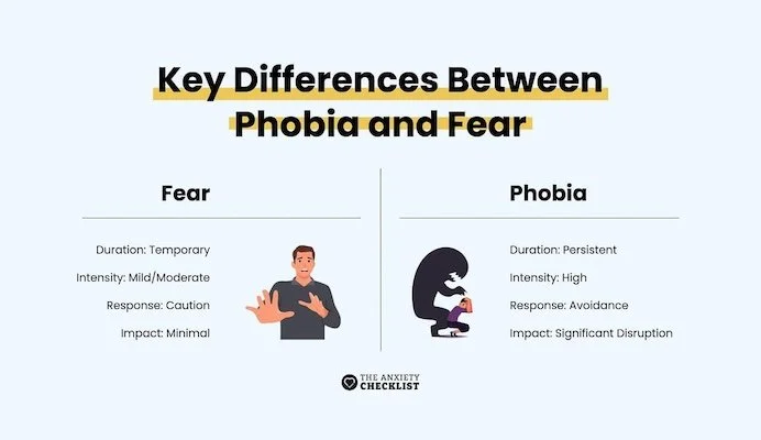 slide showing key differences between fears and phobias