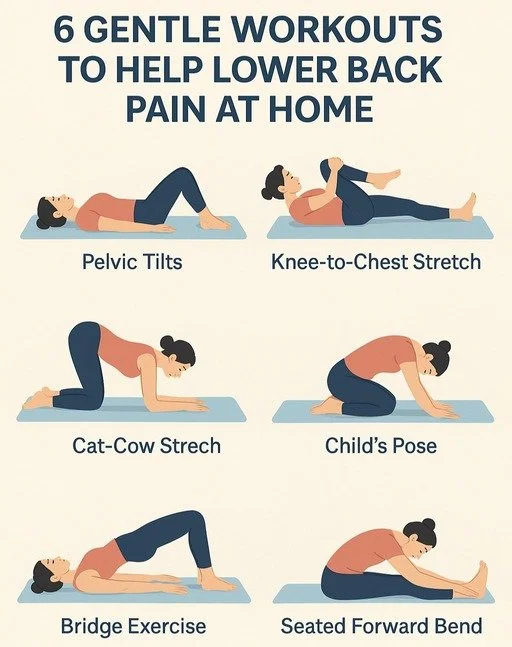 Strategy for Back Pain Relief 10 Gentle Workouts To Help Lower Back Pain At Home 1