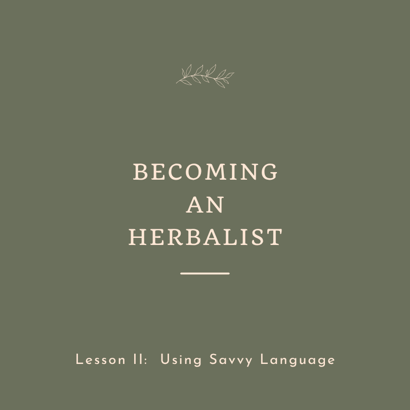 Becoming an Herbalist