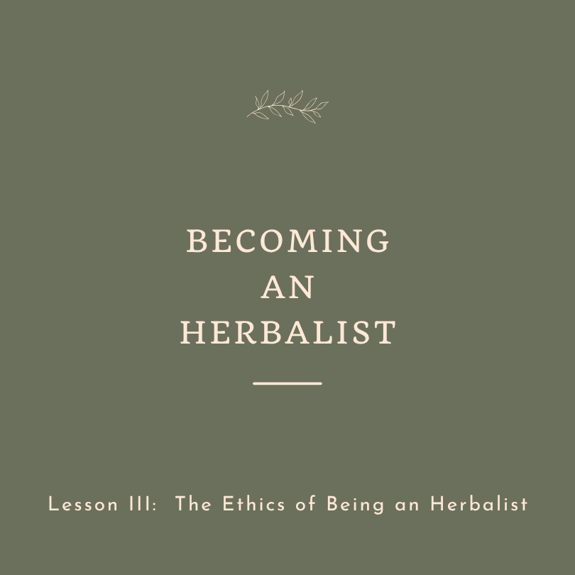 Becoming an Herbalist