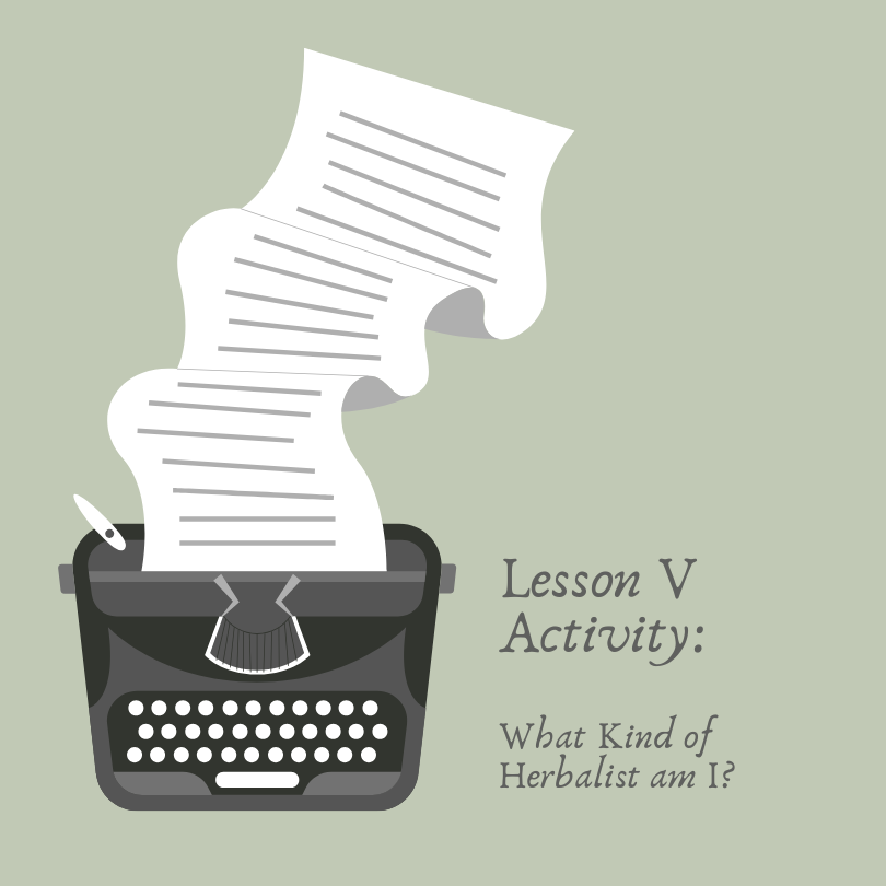 Lesson V Activity: