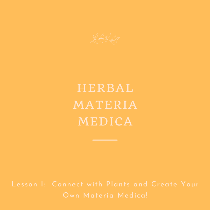 Herbal Materia Medica
