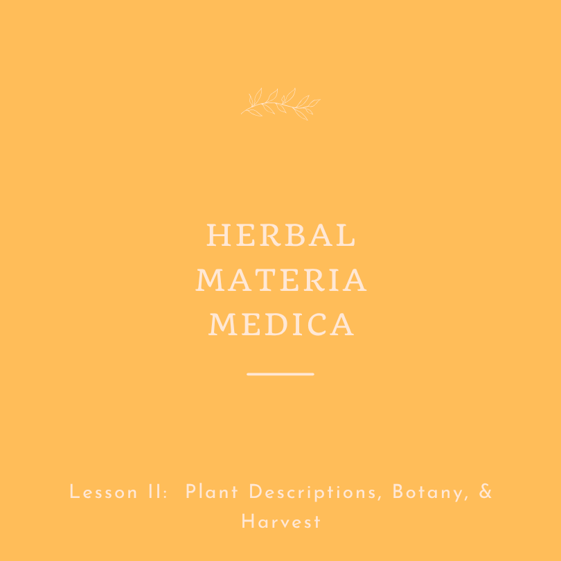Herbal Materia Medica