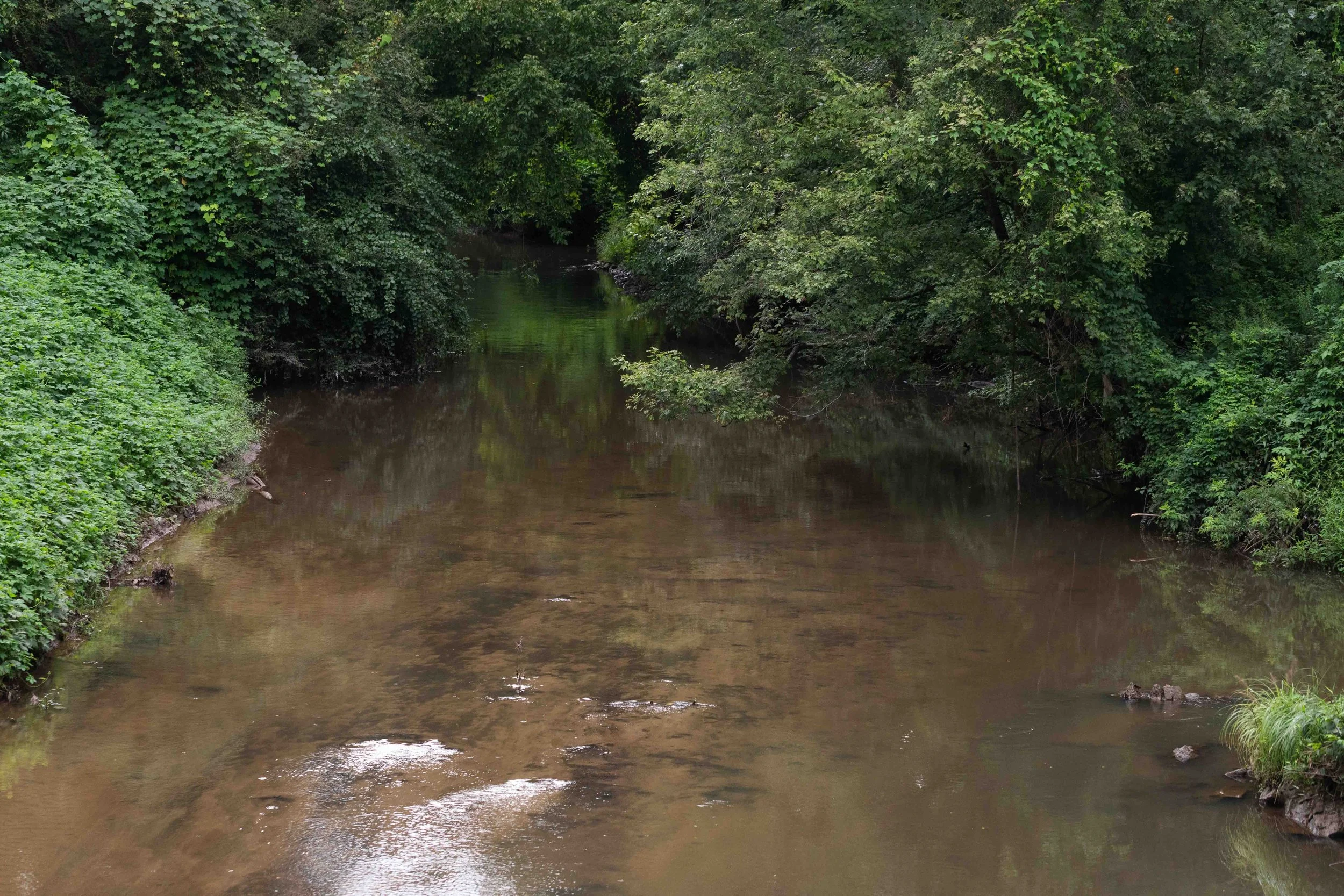 Creek View from Bridge