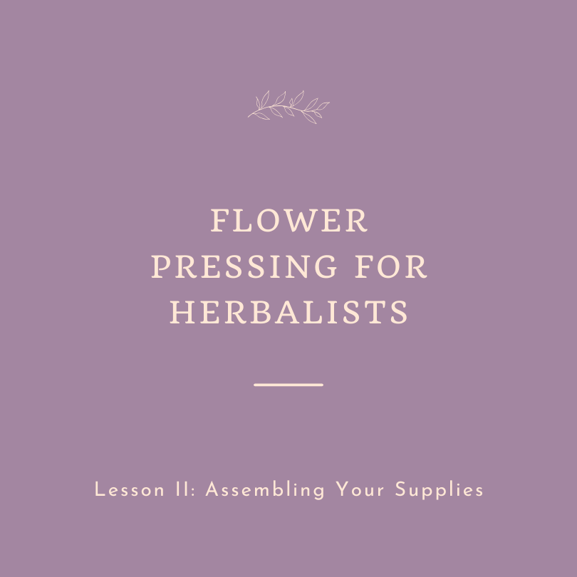 Flower Pressing for Herbalists