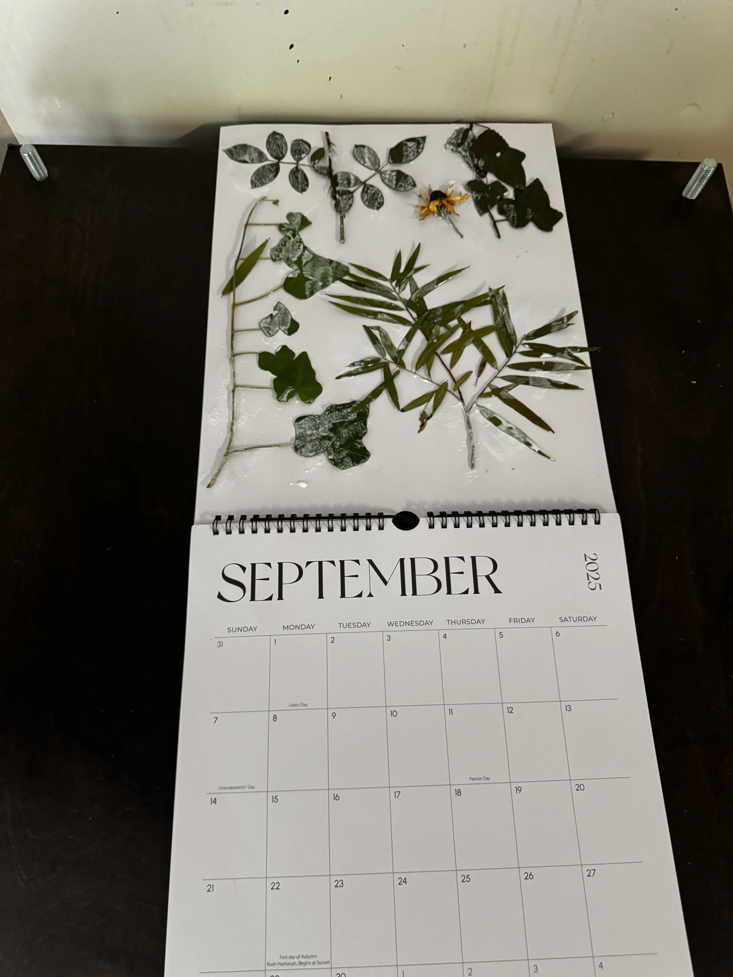 The Completed Calender