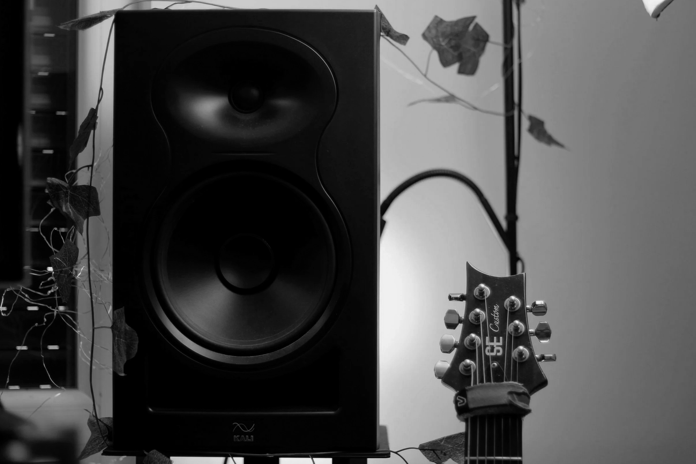 PRS Custom 24 7 & KALI LP8 06.01.2026