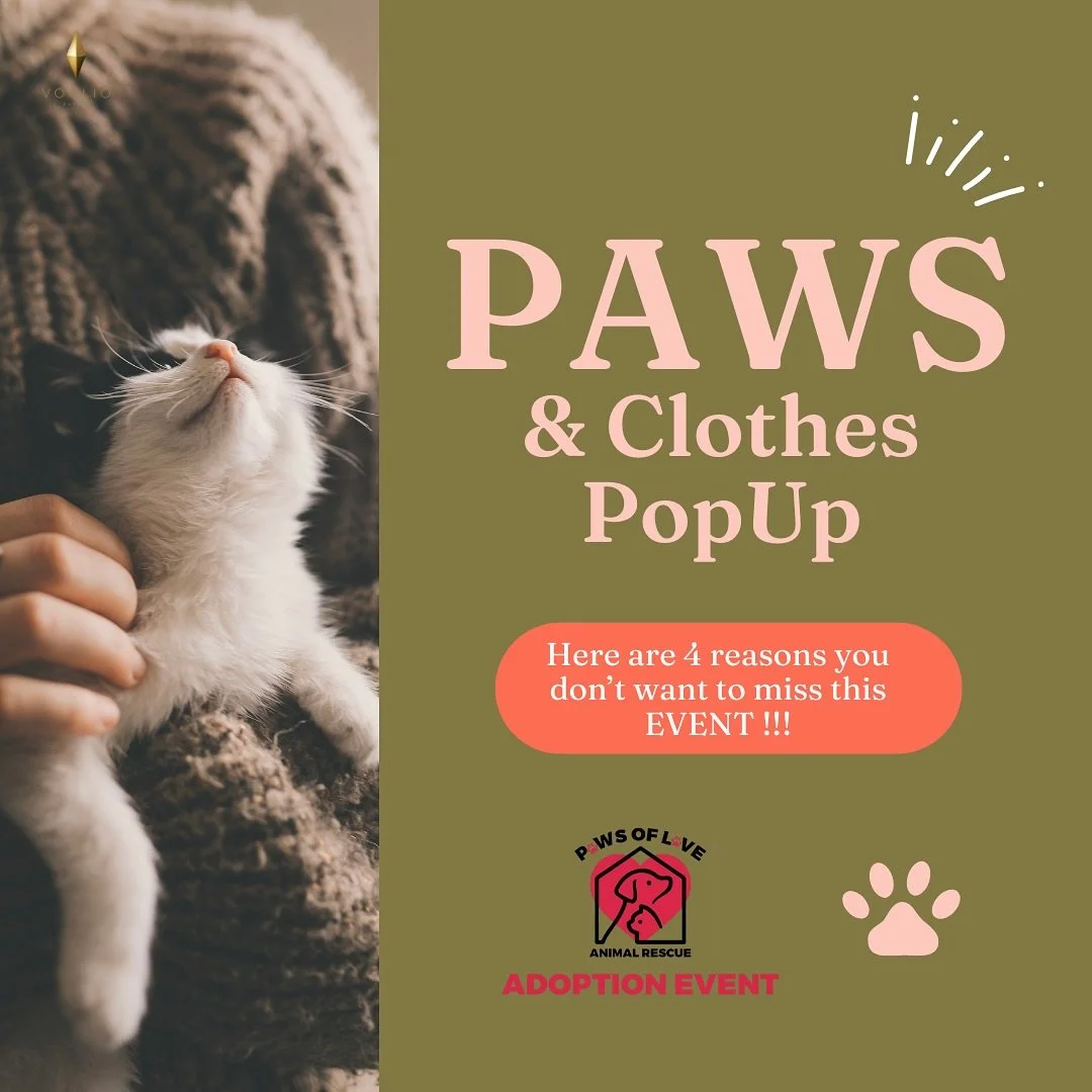 πΎπ Paws & Clothes PopUp is here!
We cannot be more happy than being part of this amazing event. π
β¨ Gently used clothes for just $1
β¨ Over 40 cats (and one sweet dog!) waiting for adoption π±πΆ
β¨ 100% of proceeds donated to Paws of Love, whe