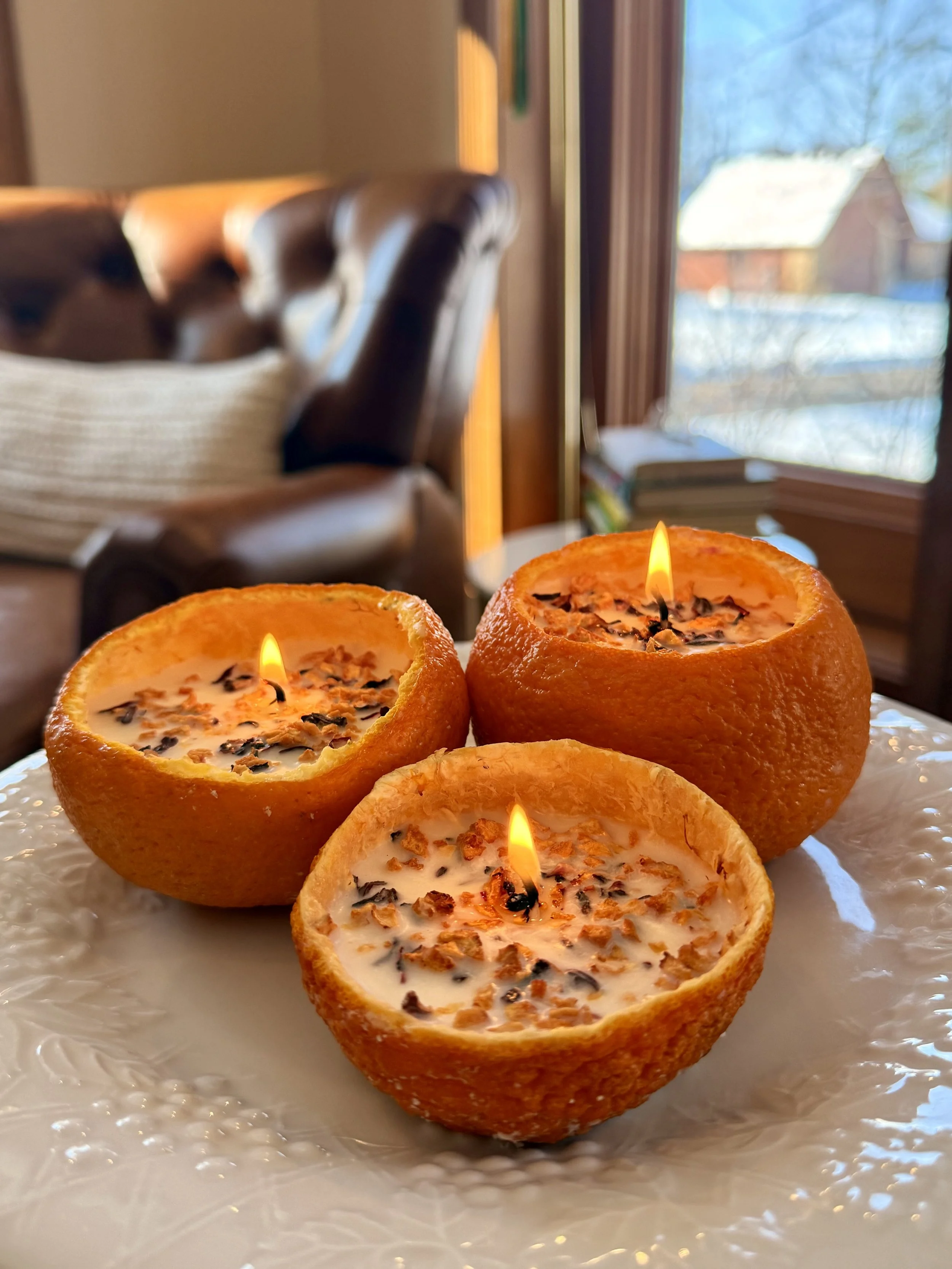 Instructions for the Care of Joyful Humans