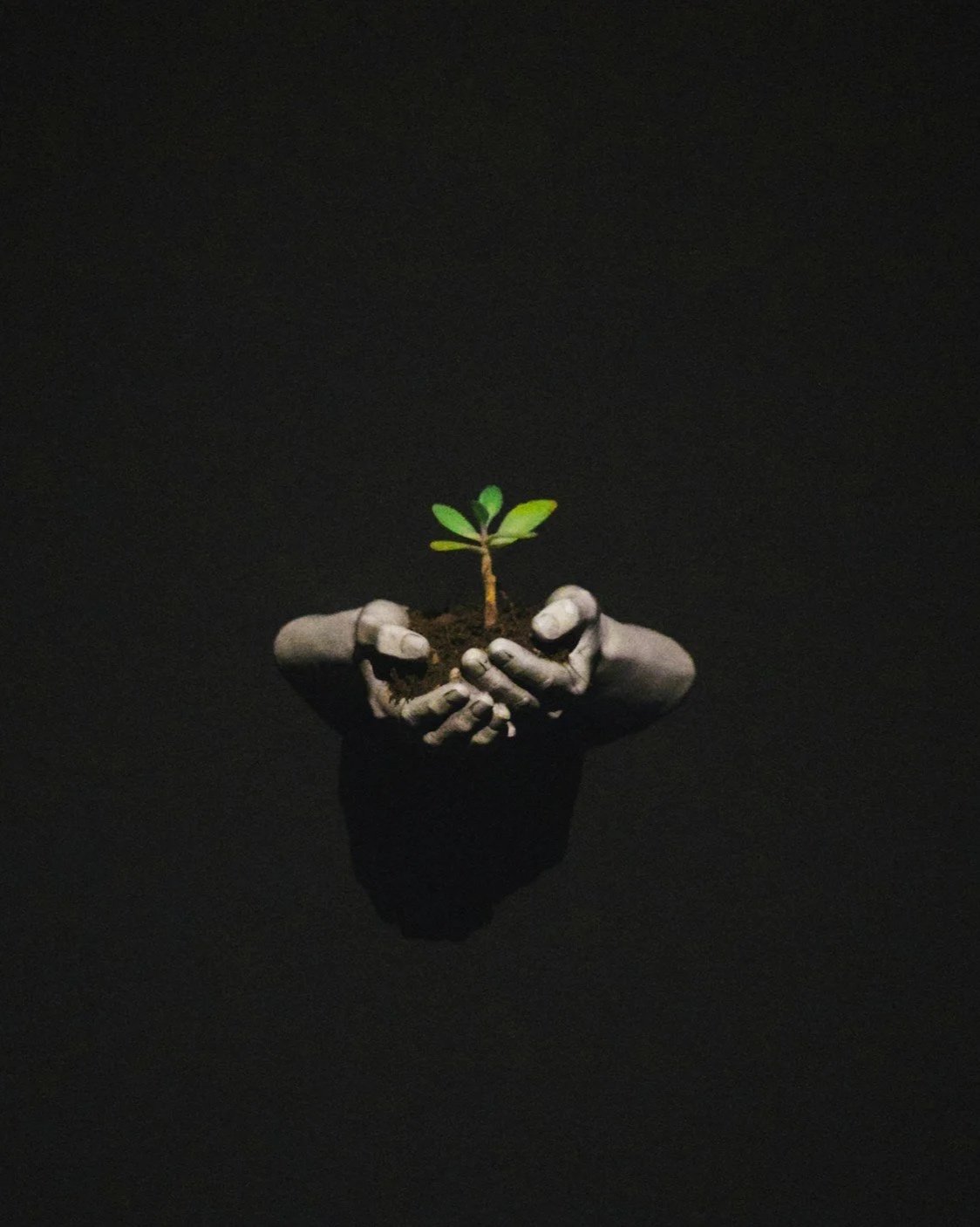 A Quiet Return to What Matters; Instructions for the Care of Joyful Humans