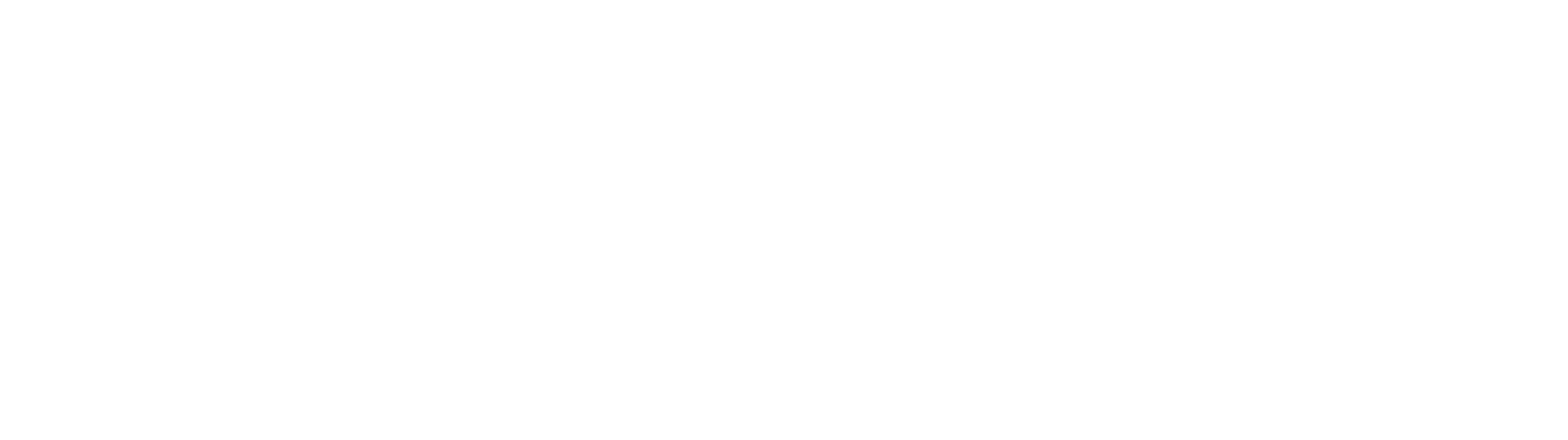 The Disciple Files