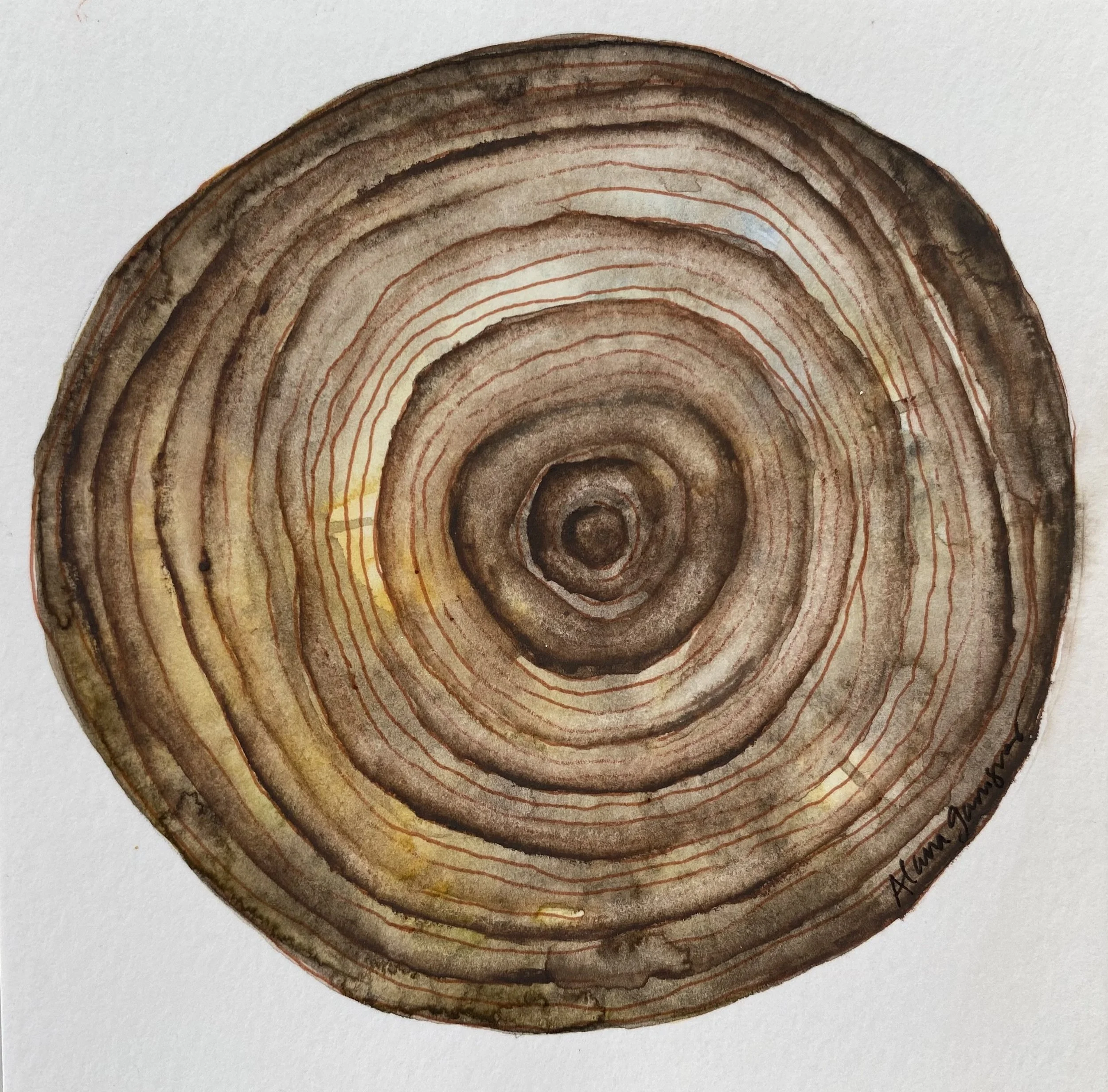 It Comes in Waves Alana Garrigues - Alana Garrigues (1).jpeg