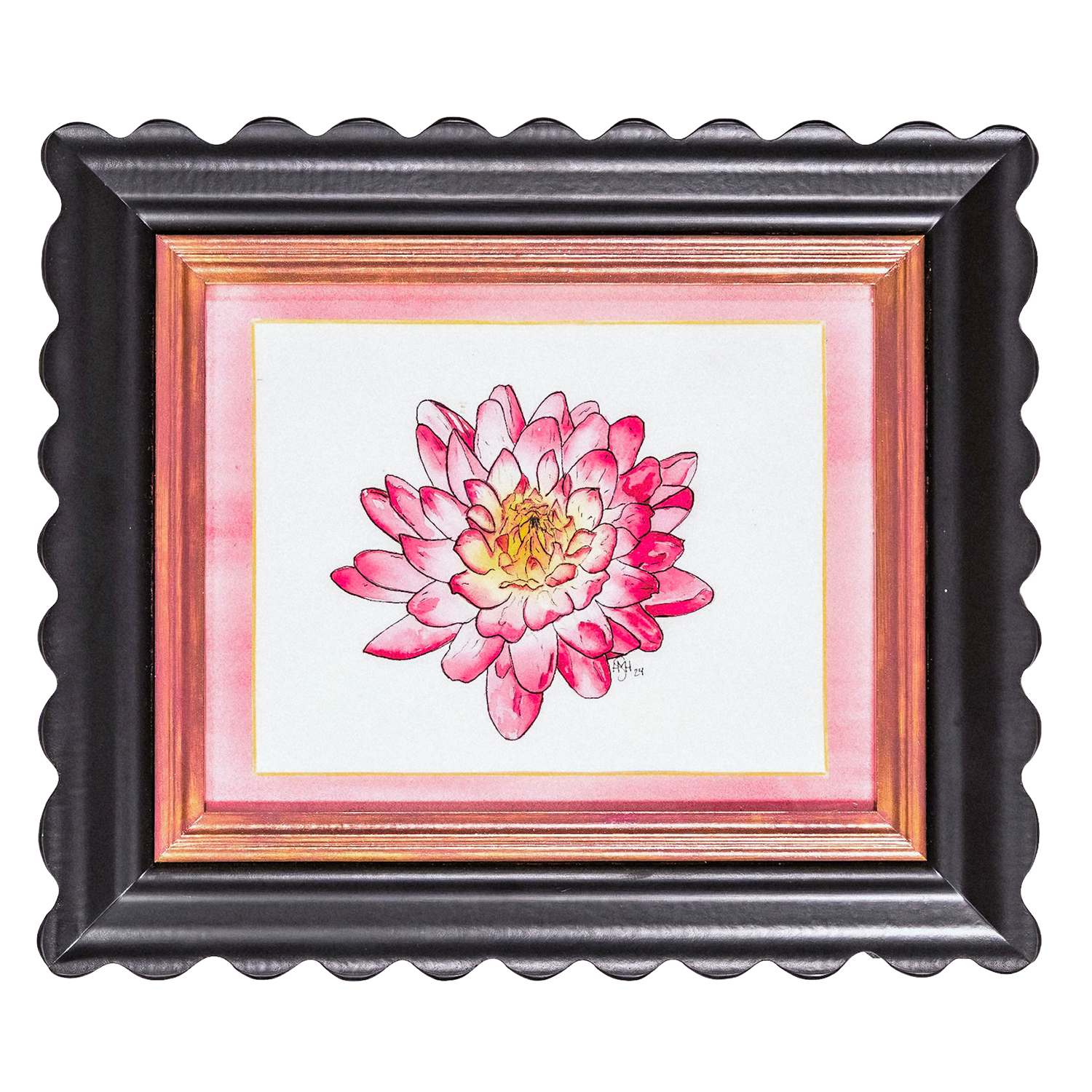 Unaccompanied Dahlia