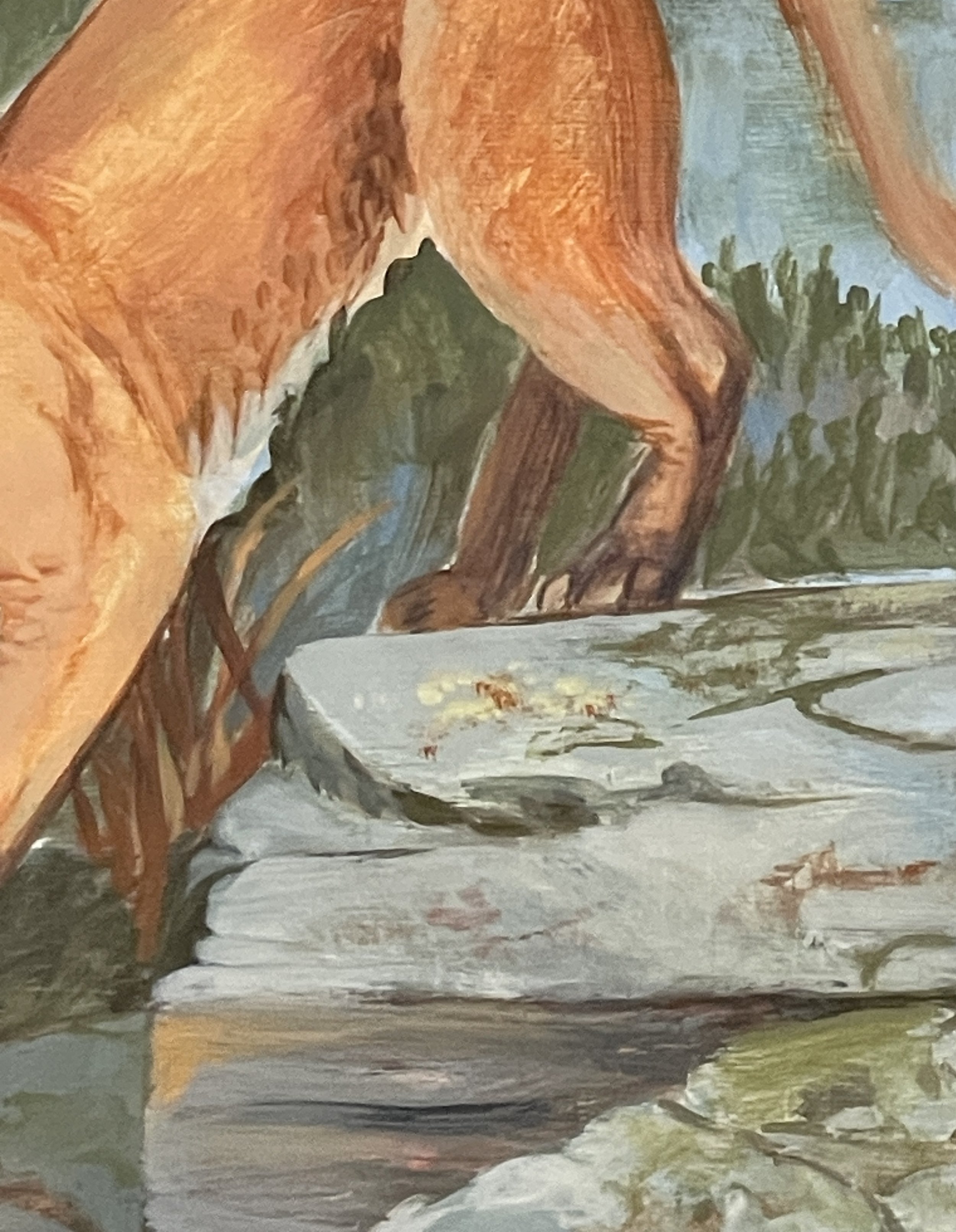 137_Mountain Lion 4.jpg