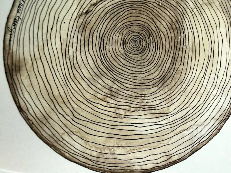 detail 2_ Tactile Truths - Garrigues.jpeg