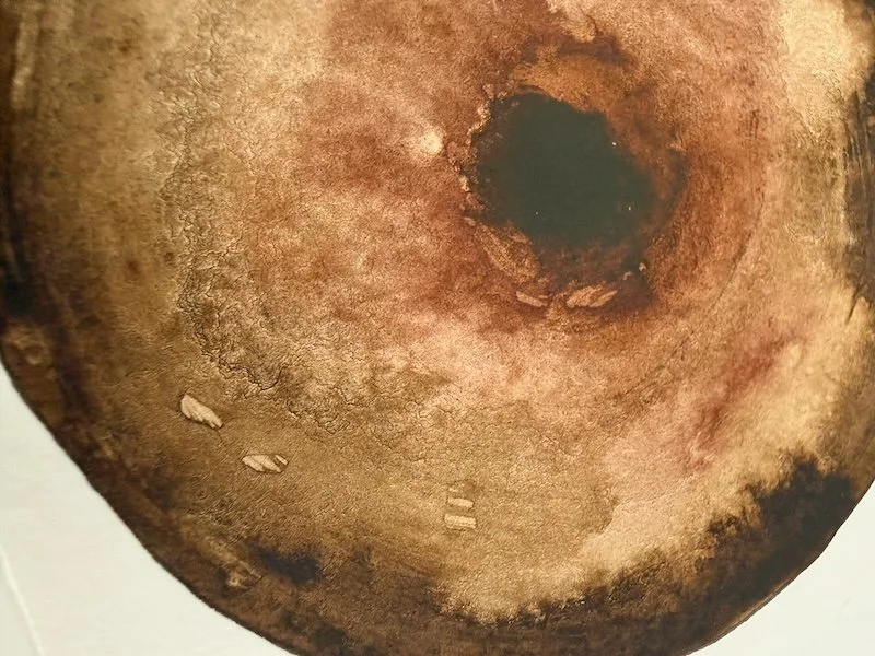 detail 1_ The Breath of Infinite Presence - Garrigues.jpeg