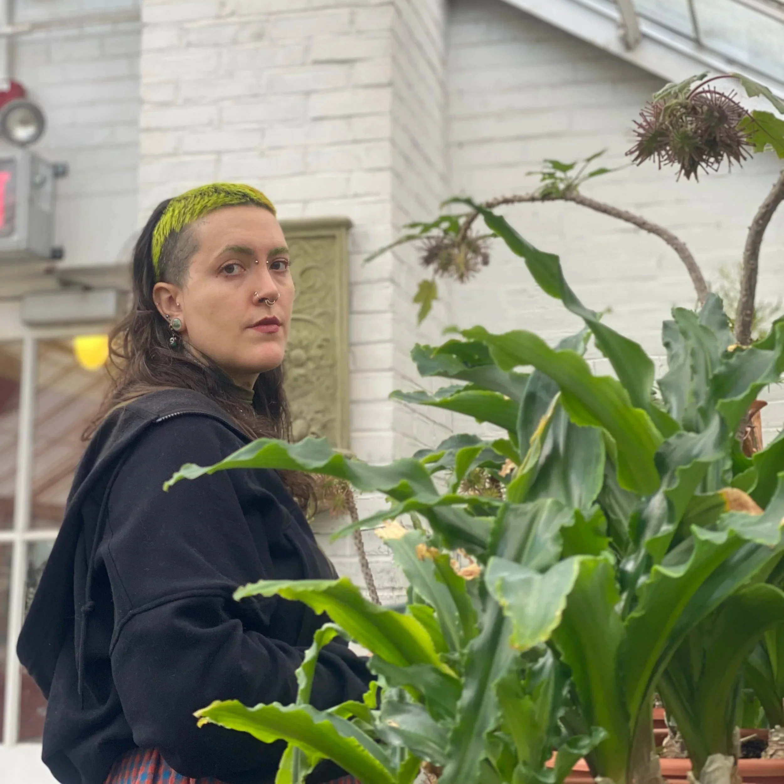 A person with long dark hair, pierced nose, and wearing a black jacket, standing near a large green plant outside a white brick building.