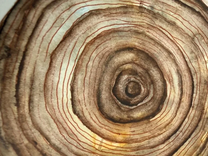 detail 1_ It Comes in Waves - Garrigues.jpeg