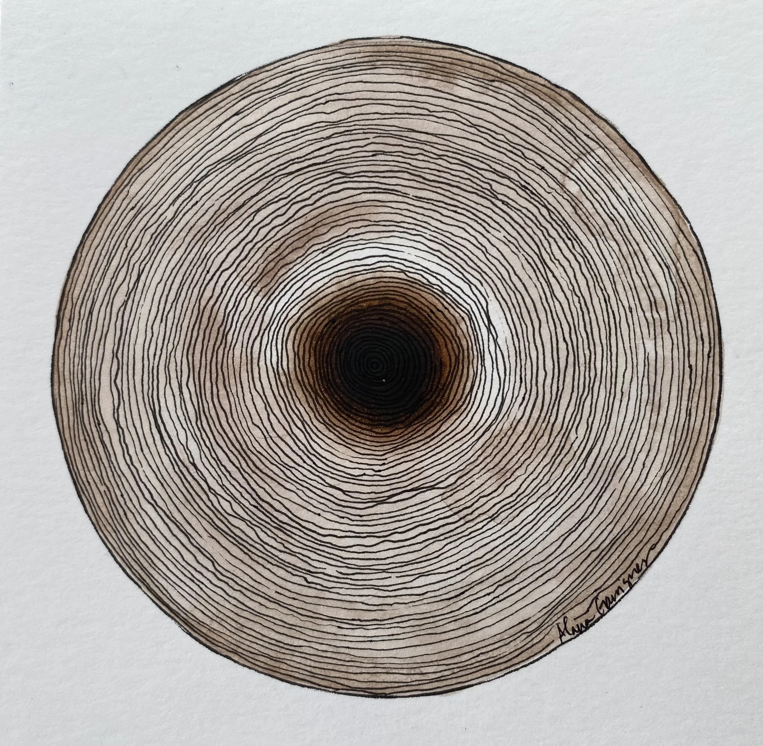 Quietly Making Waves Alana Garrigues - Alana Garrigues (1).jpeg