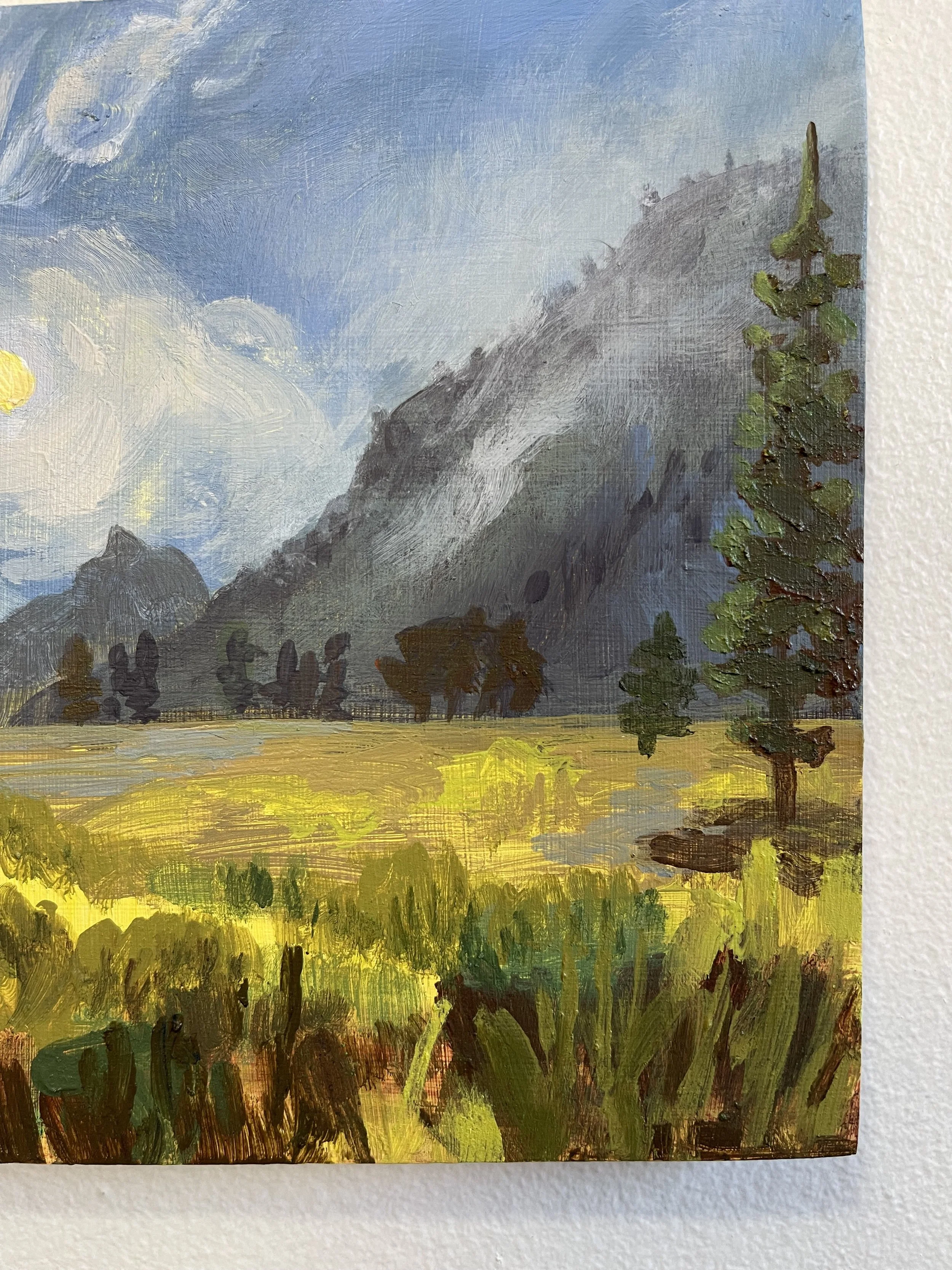 121_Yosemite Valley detail 1.jpg