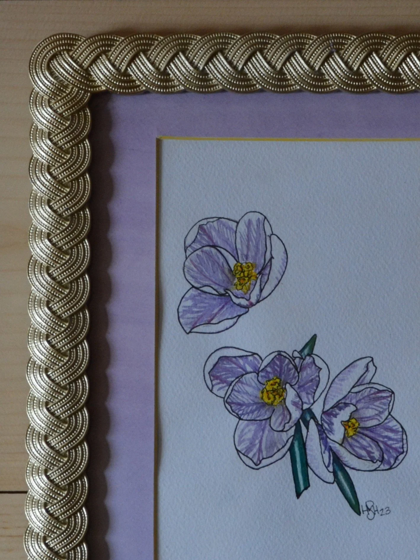 Crocus - Close - Frame.JPG