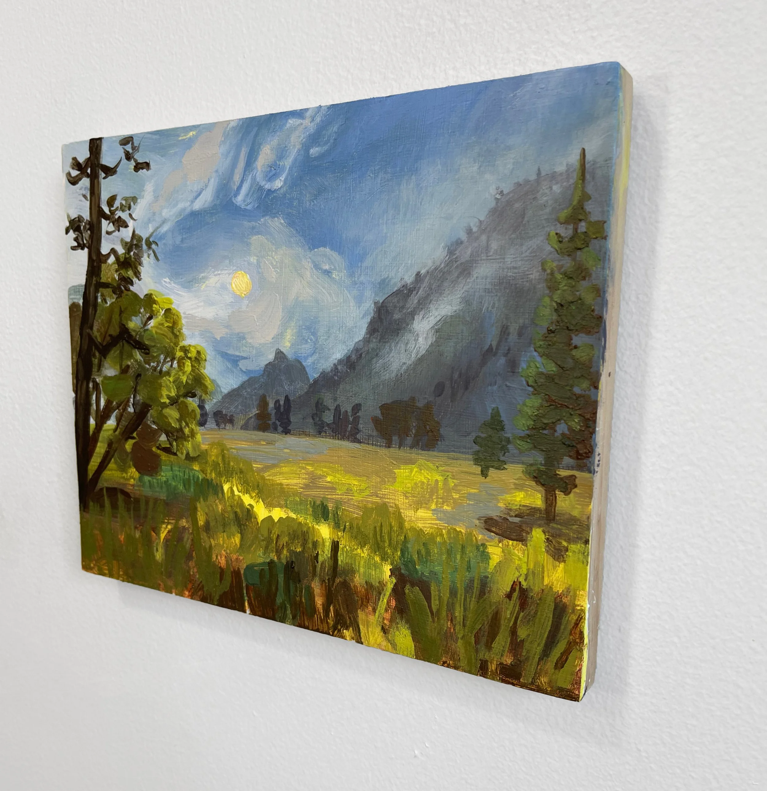 121_Yosemite Valley sideview1.jpg