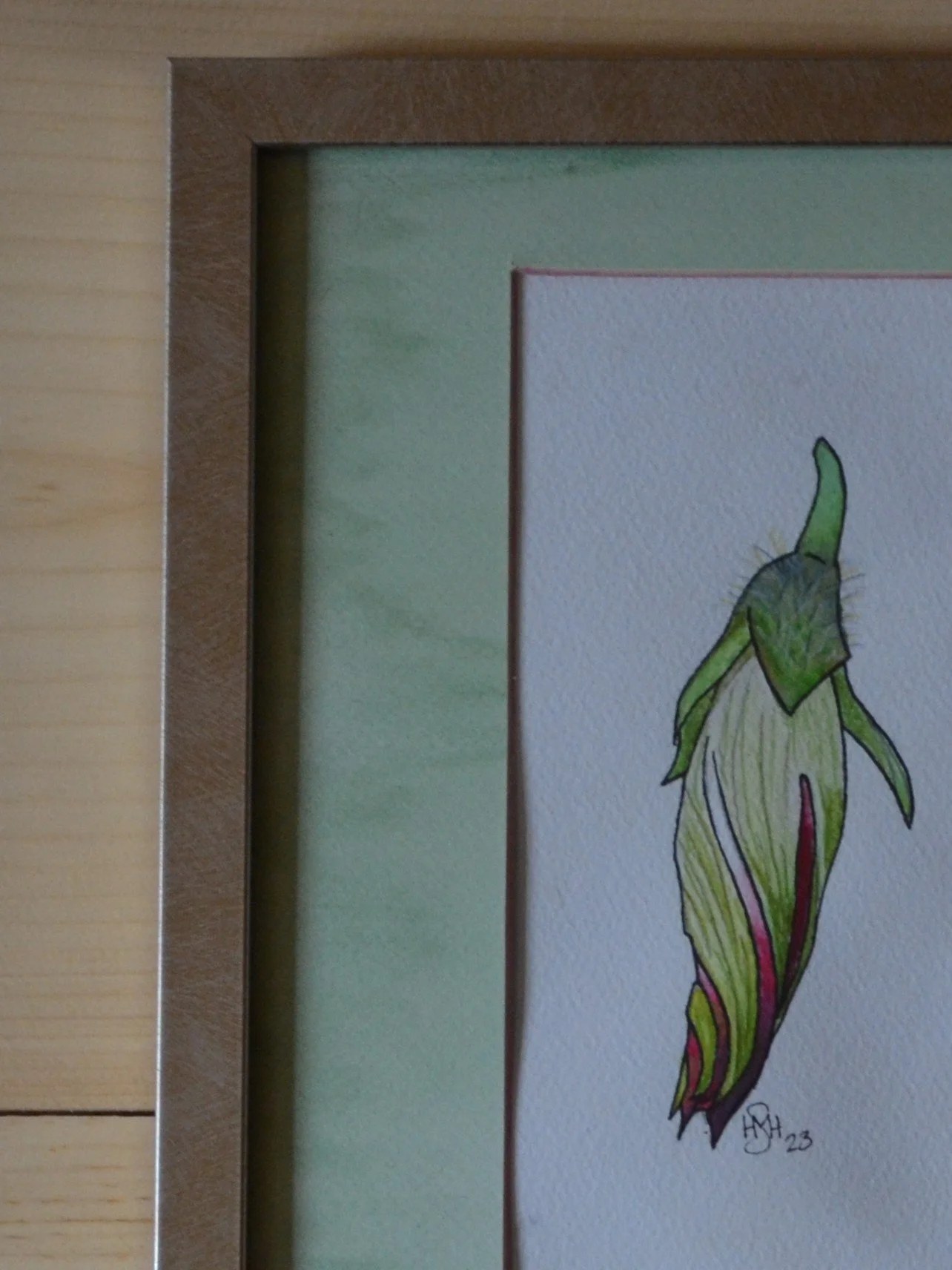 Morning Glory - Close - Frame.JPG