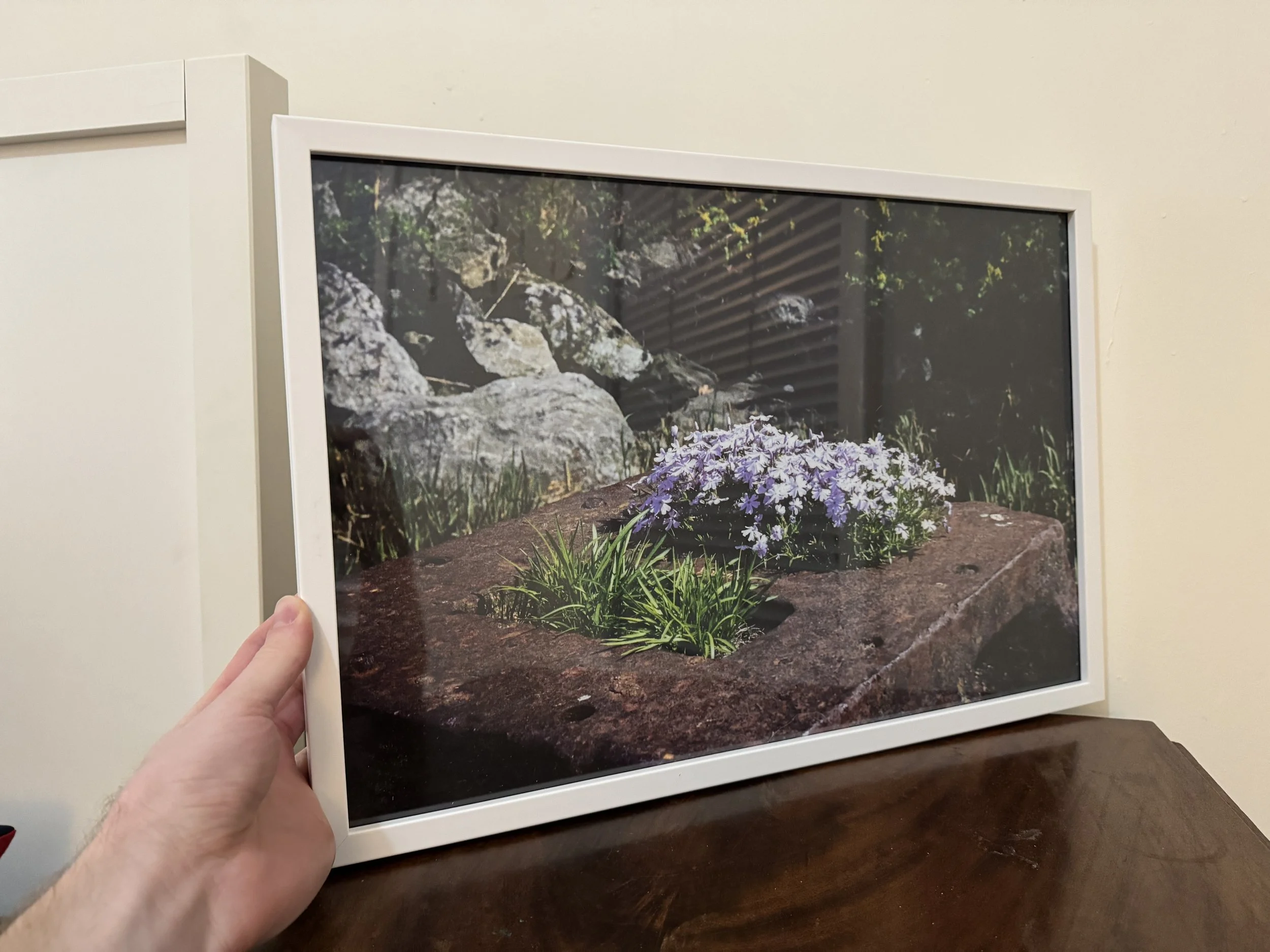 IMG_2309 - Luke Worthylake.JPEG