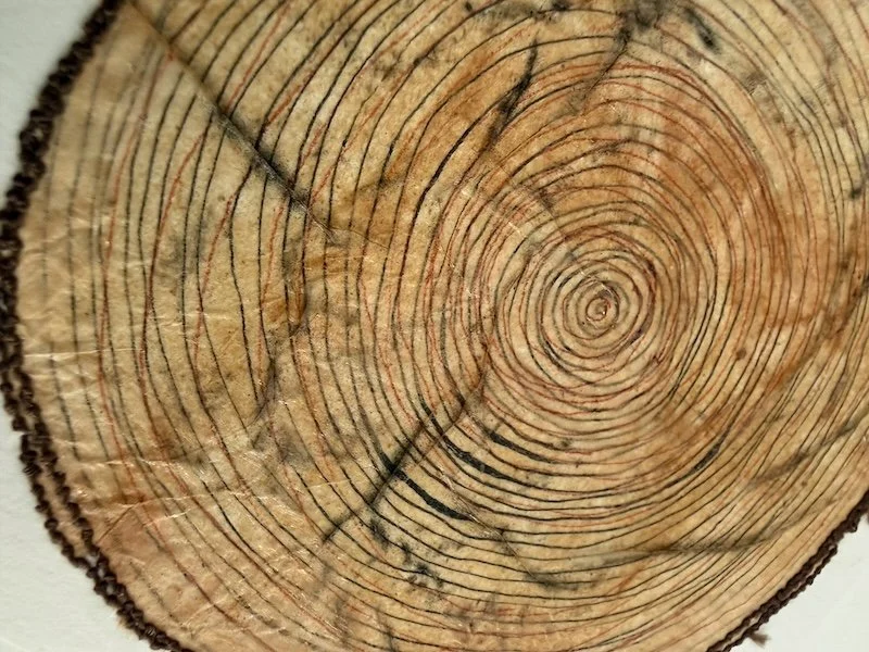 detail 3_ A Little Worn, But Still So Much to Tell - Garrigues.jpeg