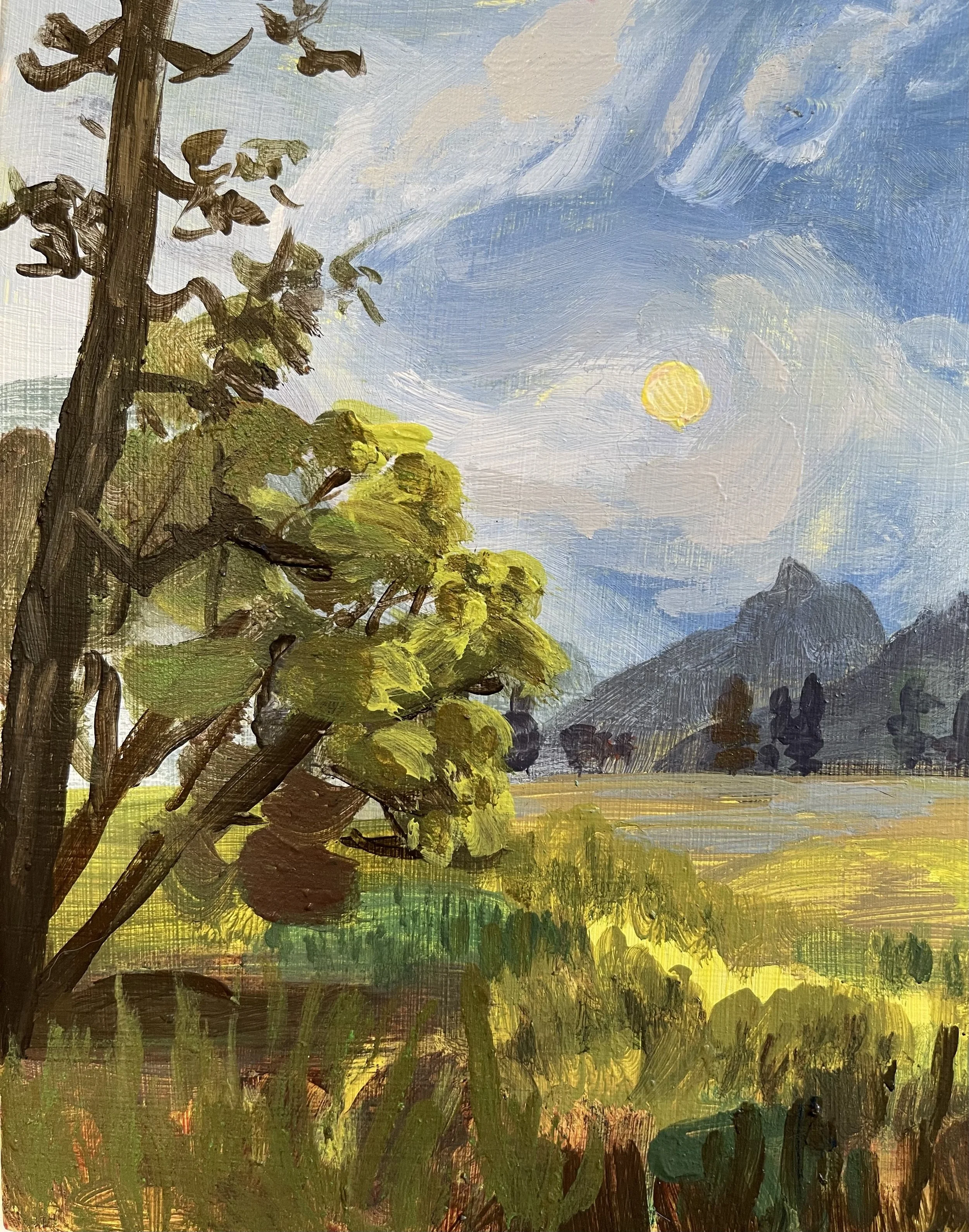 121_Yosemite Valley detail 2.jpg