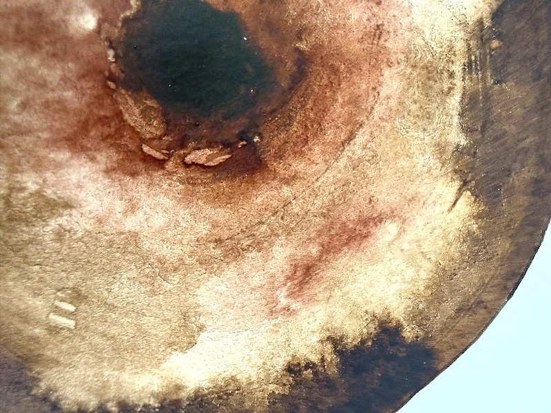 detail 2_ The Breath of Infinite Presence - Garrigues.jpeg